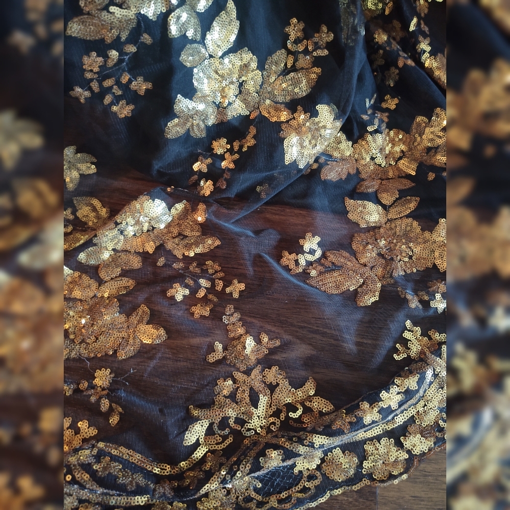 Rosedale Black and Gold Dress Gown 5x Prom Formal - Picture 2 of 3